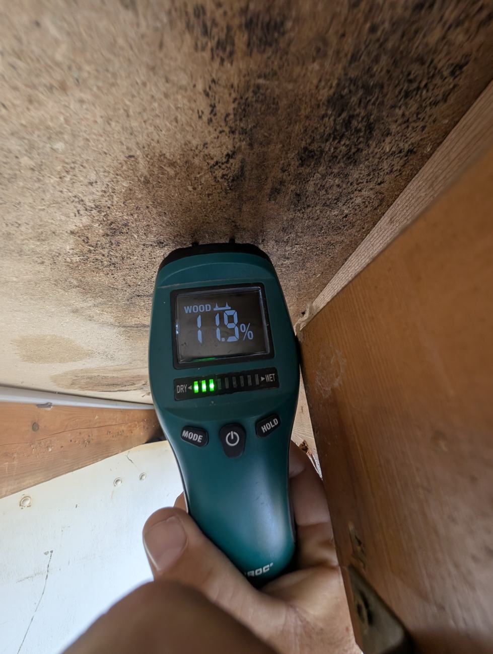 Mesure à l'humidimètre sur un panneau couvert de moisissures